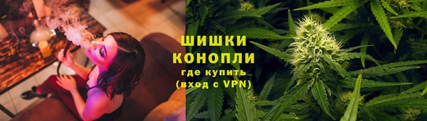 СК Краснослободск