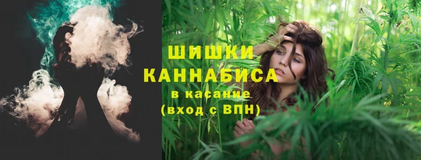 СК Краснослободск
