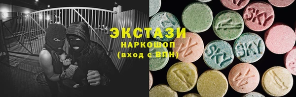 СК Краснослободск