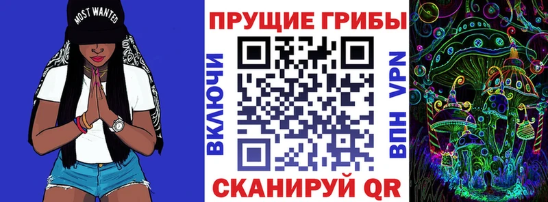 Галлюциногенные грибы Psilocybine cubensis  Купить  Бор 