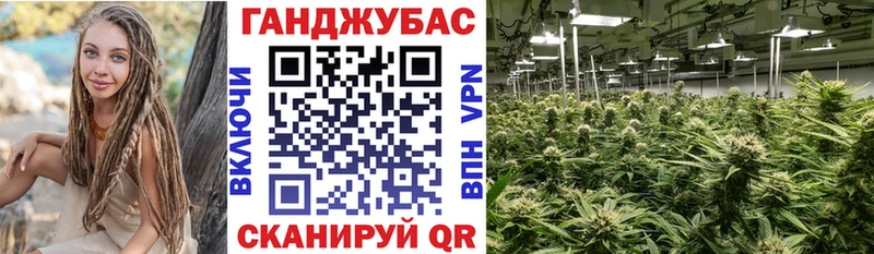 Купить  Бор  Канабис планчик 